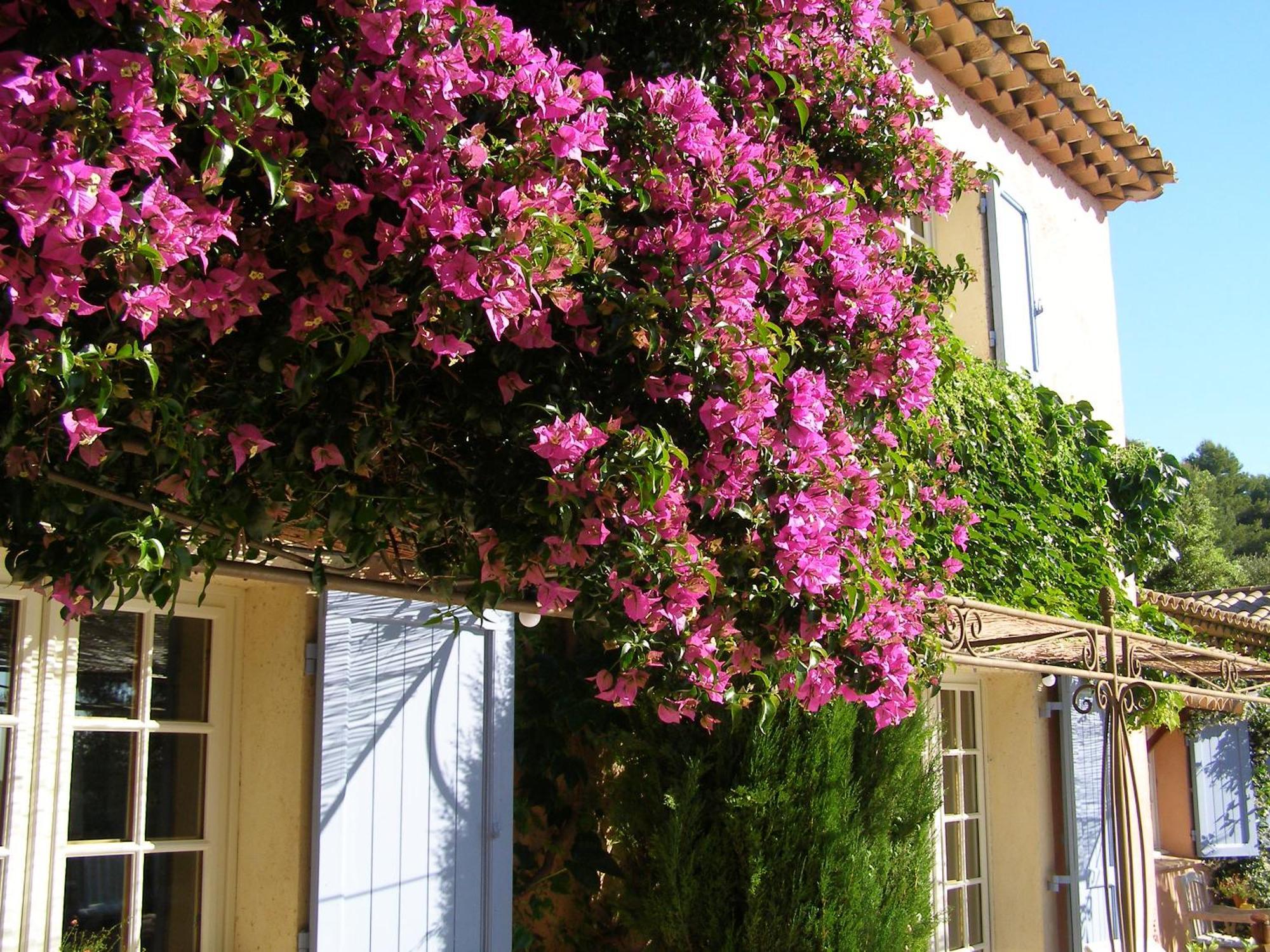 Le Mas Des Cigales Tourrettes-sur-Loup Bagian luar foto
